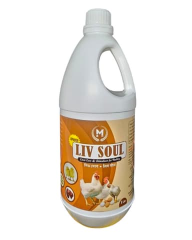 LIV SOUL